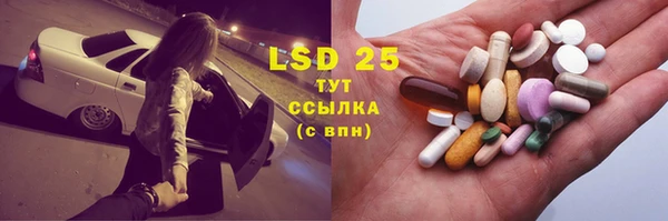 соль ск Белокуриха