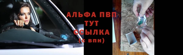 соль ск Белокуриха