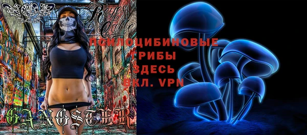 СК Белоозёрский