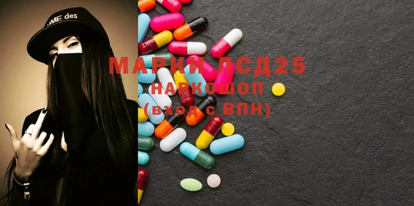дмт Богданович