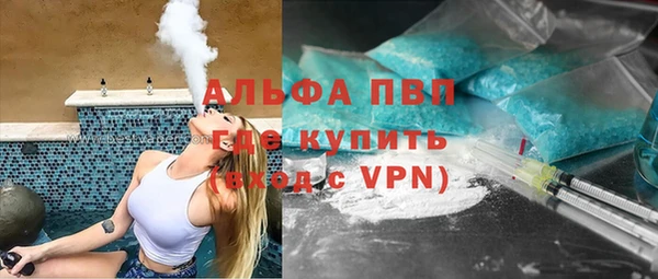 дмт Богданович